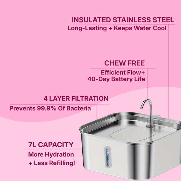 PUPWISE Water Fountain