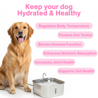 PUPWISE Water Fountain