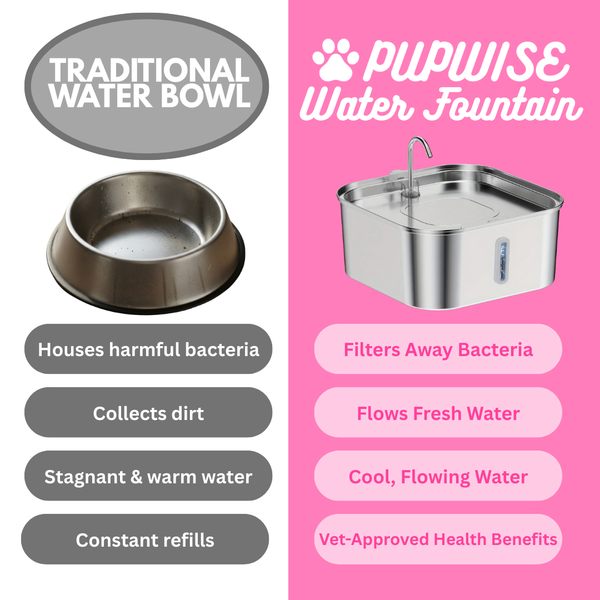 PUPWISE Water Fountain