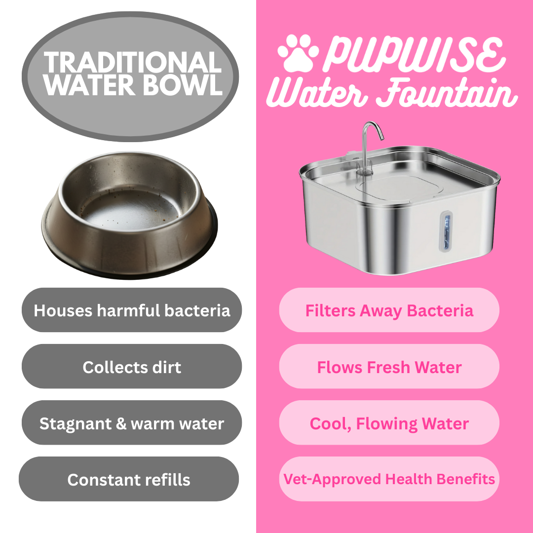 PUPWISE Water Fountain