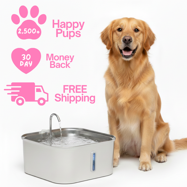 PUPWISE Water Fountain
