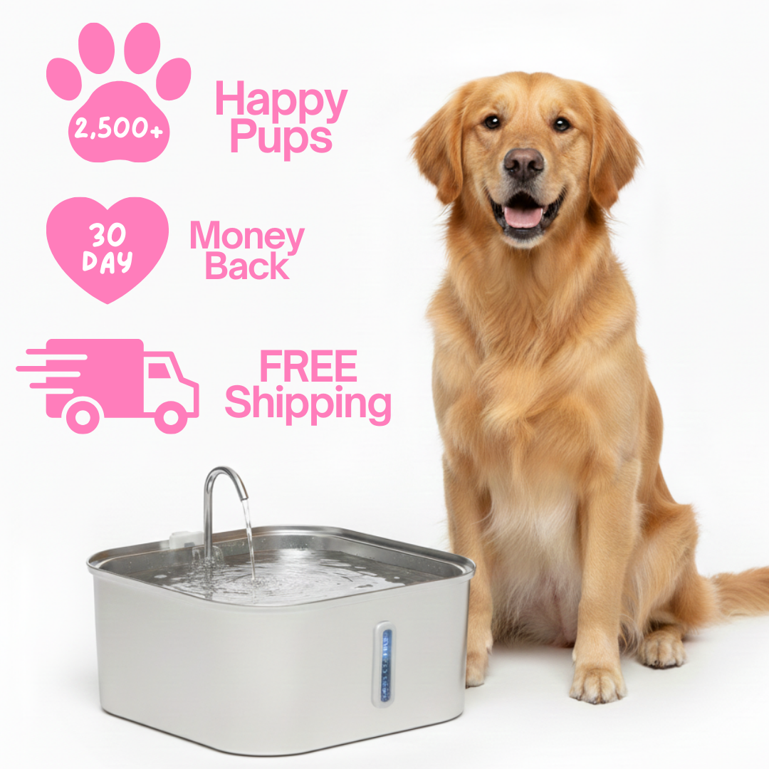 PUPWISE Water Fountain