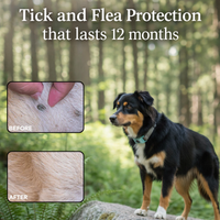 PupWise Tick & Flea Repeller