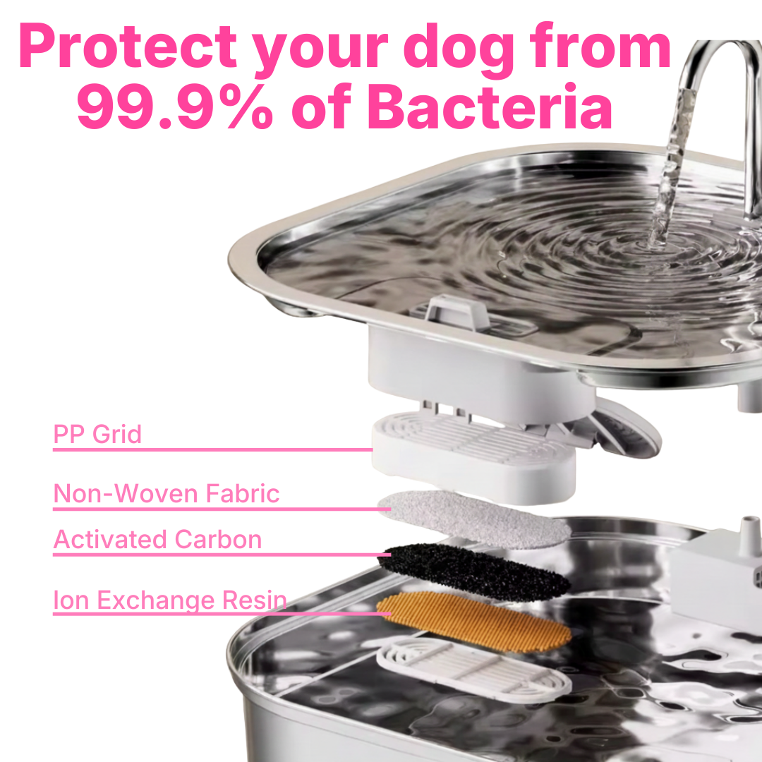 PUPWISE Water Fountain