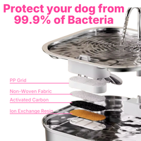 PUPWISE Water Fountain